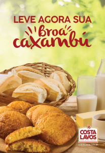ARTE_banner-70x100-leve-agr-broa-caxambú